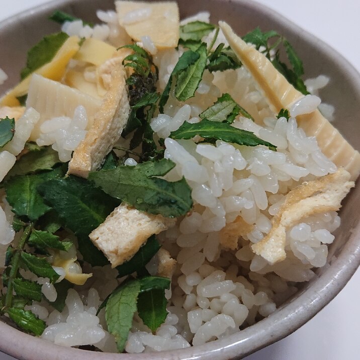 今が旬！木の芽の香りタケノコご飯